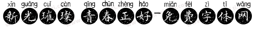 新光璀璨 青春正好字体转换